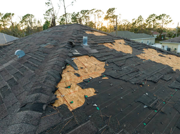 Best Asphalt Shingle Roofing  in Rolesville, NC