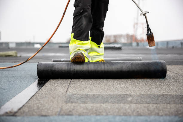 Best Roof Coating Services  in Rolesville, NC